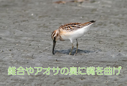 キリアイ