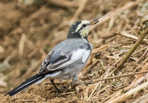 �n�N�Z�L���C2015/10/1�q�h����EOS7D+7-200X2.0