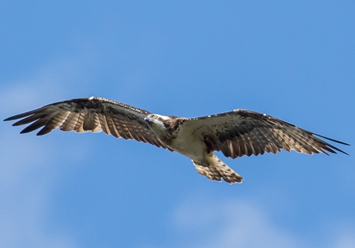 �~�T�S2015/10/6���EOS7D+7-200X2.0