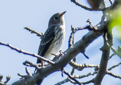 �G�]�r�^�L2015/10/8������EOS7D+7-200X2.0