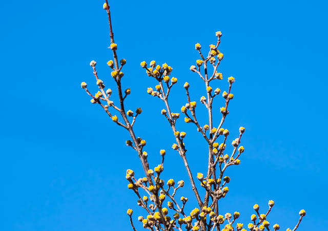 /0EOSR7+100-400II