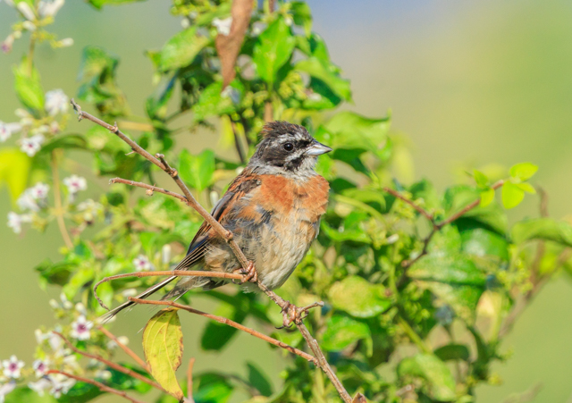 zIW2025/9/6@EOSR7+100-400II