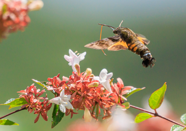 zVzEWN2025/9/7qhEOSR7+100-400II