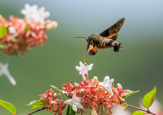 zVzEWN2025/9/7qhEOSR7+100-400II