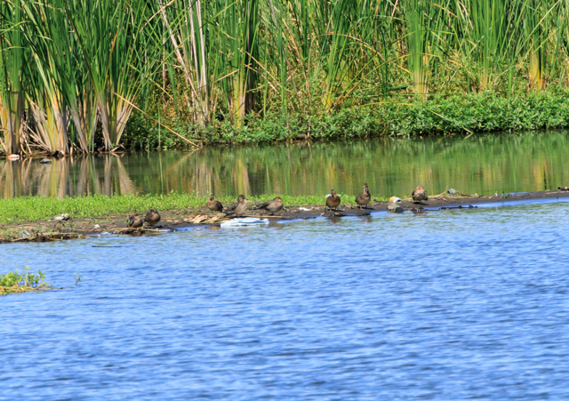 RK2025/9/21ΓEEOSR7+100-400II