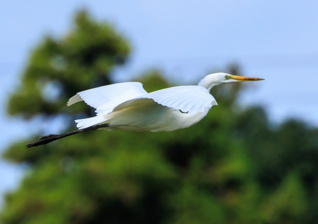 _CTM2025/9/30˒EOSR7+100-400II