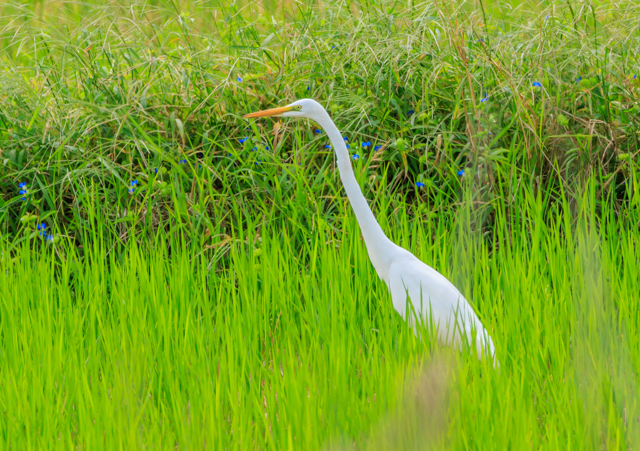 _CTM2025/9/30˒EOSR7+100-400II