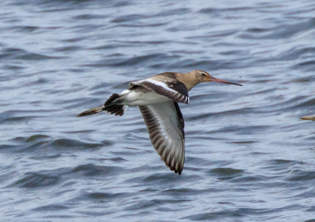 IOVM2025/10/7ΓE~TSPEOSR7+100-400II