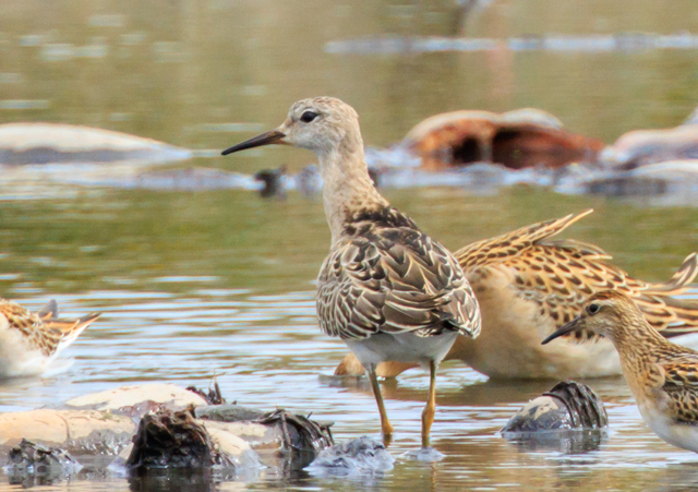 G}LVM2025/10/19~EOSR7+100-400II