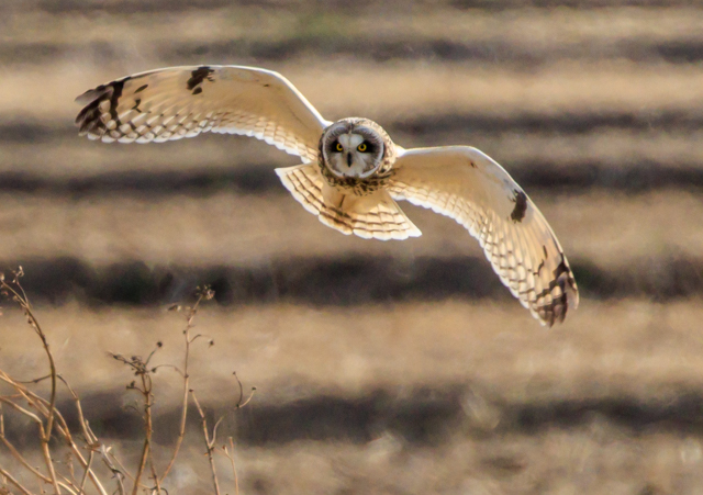 �R�~�~�Y�N2026/2/6���여��EOSR7+100-400II