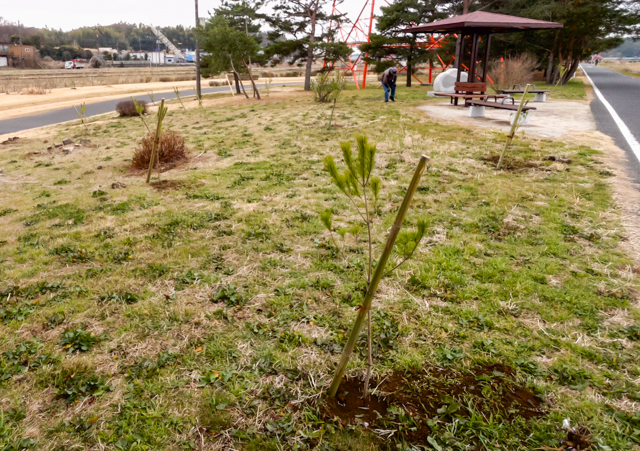 ���A��2026/3/2�Γ��E����EOSR7+100-400II