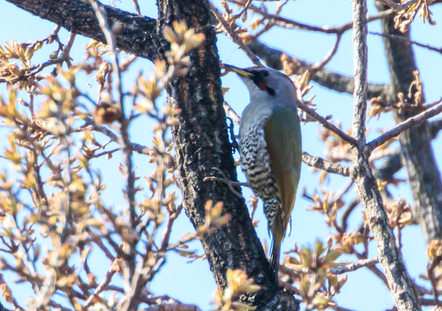 </font><br>0/00EOSR7+100-400II